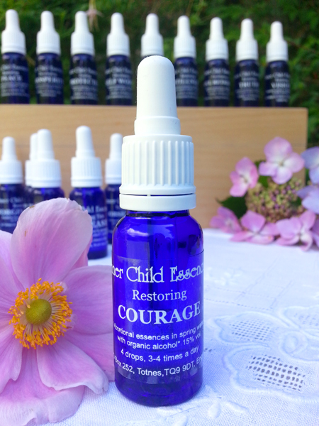 05 - Courage Inner Child Essence Courage