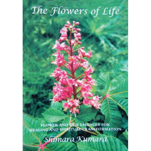 flowersoflife-square Flowers